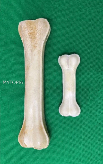 MYTOPIA PRESSED BONE 10" - 1PCS