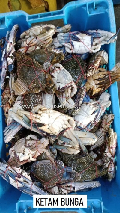 Ketam Bunga