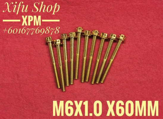 STAINLESS STEEL GOLD COLOR BOLT M6X1.0X60MM (1PACK10PCS)LNEE