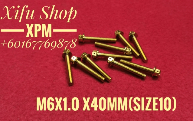 STAINLESS STEEL GOLD COLOR BOLT M6X1.0X40MM SIZE10 (1PACK 10PCS) 