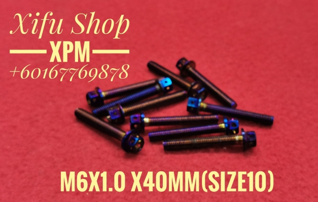 STAINLESS STEEL TITANIUM COLOR BOLT M6X1.0X40MM SIZE10 (1PACK 10PCS) 