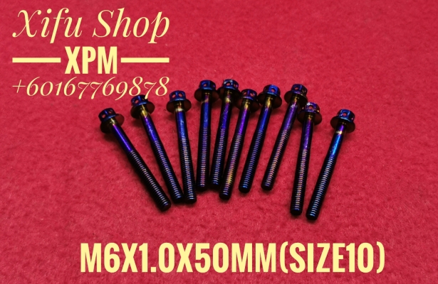 STAINLESS STEEL TITANIUM COLOR BOLT M6X1.0X50MM SIZE10 (1PACK 10PCS) 