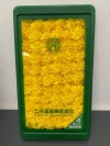 Fresh Japan Chrysanthemum / Kogiku (60pcs/pkt) (1 week advance order required) Vegetarian Products