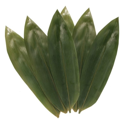 Frozen Bamboo Leaves (100pcs/pkt)