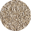 SUNFLOWER SEED 1KG Seed