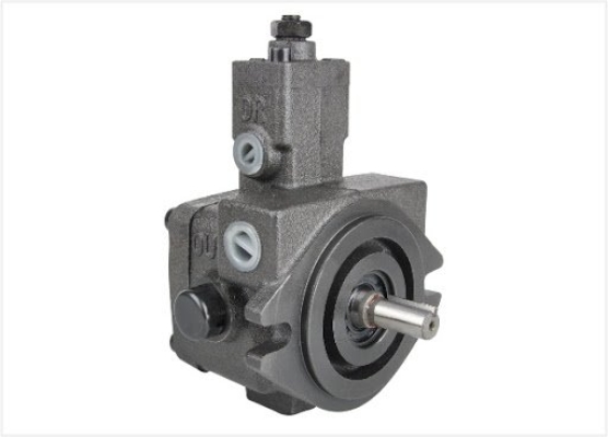 VP-SF-20-D Hydraulic Vane Pump