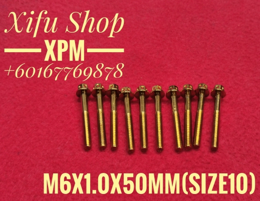 STAINLESS STEEL GOLD COLOR BOLT M6X1.0X50MM SIZE10 (1PACK 10PCS) 