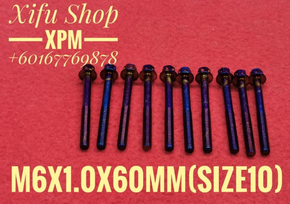 STAINLESS STEEL TITANIUM COLOR BOLT M6X1.0X60MM SIZE10 (1PACK 10PCS) 