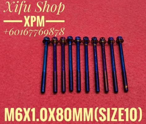 STAINLESS STEEL TITANIUM COLOR BOLT M6X1.0X80MM SIZE10 (1PACK 10PCS) 