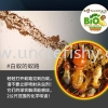TERMITE CONTROL SERVICES JOHOR BAHRU