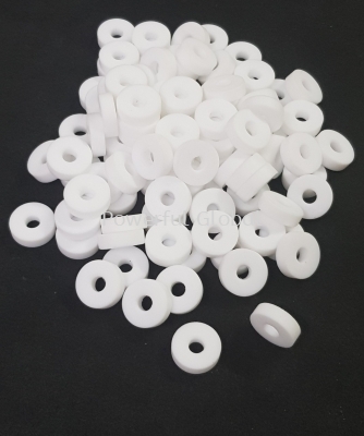 PTFE White Gasket