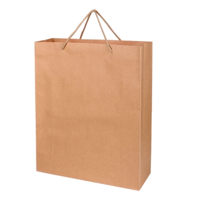 PB 962 Recycle Paper Bag