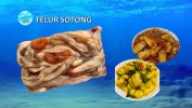 TELUR SOTONG Others