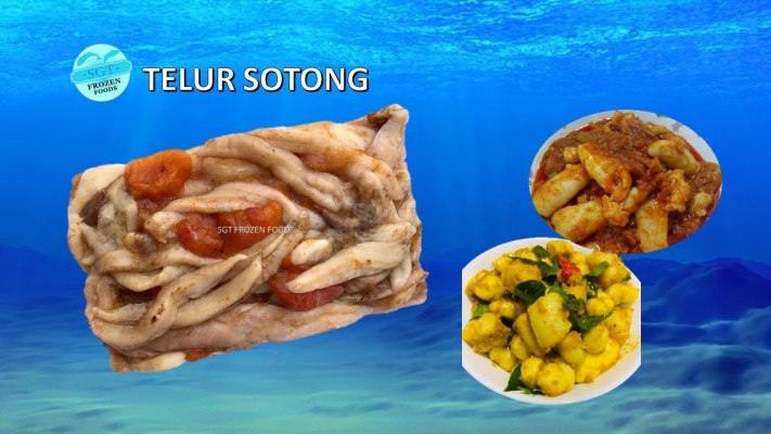 TELUR SOTONG