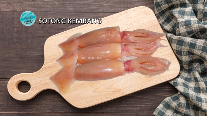 Brown Sotong 