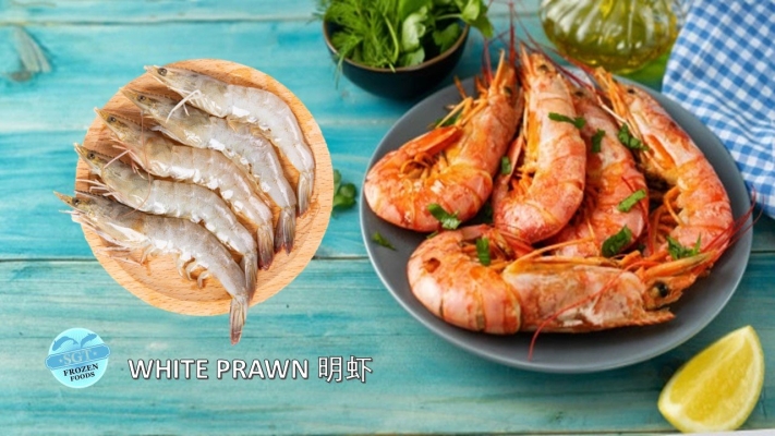 White Prawn Ϻ (semi block)