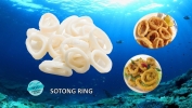 Sotong ring Squid Frozen Seafood