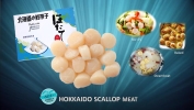 Hokkaido scallop meat Scallop Meat Frozen Seafood