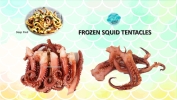 Squid Tentacles Squid Frozen Seafood