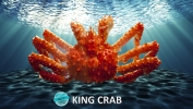 King Crab Crab Frozen Seafood