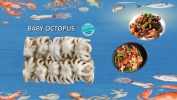 Baby Octopus Others Frozen Seafood