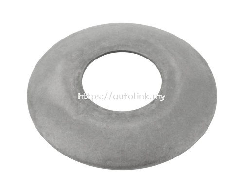 DIFFERENTIAL THRUST WASHER [1522347]