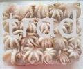 XK620 Raw Baby Octopus 30-60pcs Others Frozen Seafood