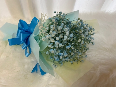 Baby Breath Bouque 满天星hand Bouquet 手捧花melaka Malaysia Delivery Supplier Supply Paradise Flower House