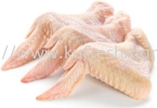 CHICKEN WING  FRESH CHICKEN  