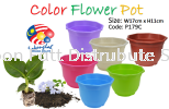 17cm Pasu Pokok Bunga 6.5inc Flower Pot L179C (Random Colour) Flower Pot & Tray Gardening