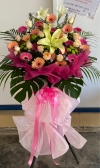 Op10 Congrat Floral ĻףBusiness Opening Business Anniversary Business Opening Floral