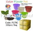 Flower Pot Plastic HouseHold WholeSales Price / Ctns