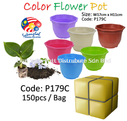 Flower Pot