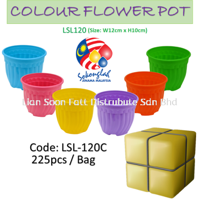 Flower Pot