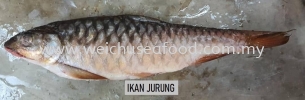 Ikan Jurung Frozen Fish