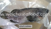 Ikan Kerapu Harimau Frozen Fish