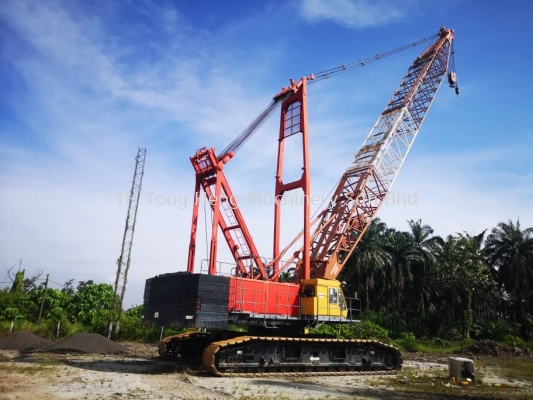 300T Crawler Crane