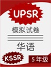 KSSR Chinese UPSR Module Paper Year 5