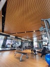 Eco Sanctuary  Aluminium Strip Ceiling / Linear Ceiling