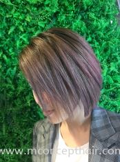 Ash Purple Hair Color 