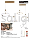 Modern Contemporary Design Pendant Light  Ring Type Pendant Light PENDANT LIGHT