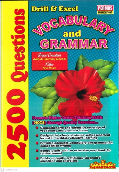 2500 Questions Vocabulary & Grammar