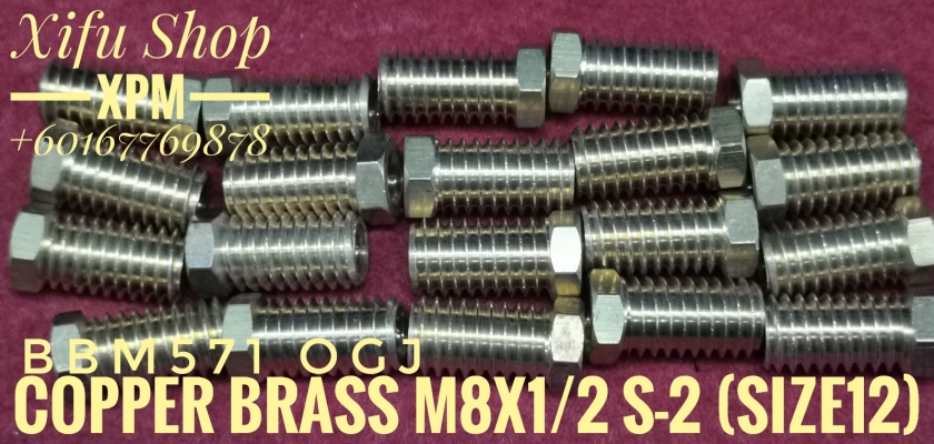 COPPER BUSH/BRASS M8X1/2 S-2 (SIZE12) BBM571 AAI 