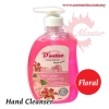 500ml Hand Cleanser Retail Shop ۵