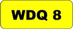 WDQ8 VVIP Plate