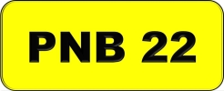 PNB22 VVIP Plate