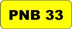 PNB33 VVIP Plate