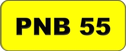 PNB55 VVIP Plate