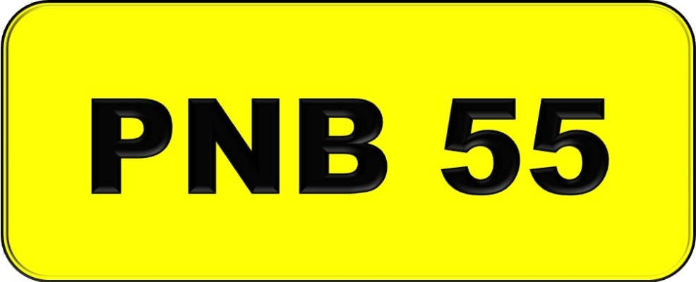 PNB55