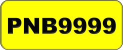 PNB9999 VVIP Plate